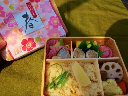 【横浜駅弁】崎陽軒の季節限定弁当「おべんとう春」4月の暑い日に外で食べたぞ
