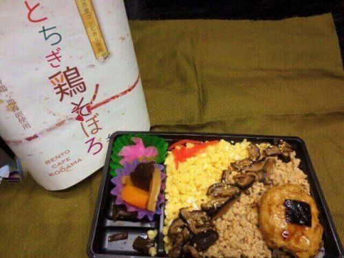 【駅弁】鬼怒川温泉のお弁当「とちぎ鶏そぼろ弁当」BENTOCAFEKODAMA(弁当カフェこだま)