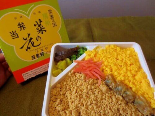 【駅弁】千葉の名物駅弁のひとつ「菜の花弁当」小さいながらに詰まってる【京王駅弁大会2019】