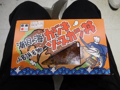 いわき駅 小名浜美食ホテル カジキソースカツ丼