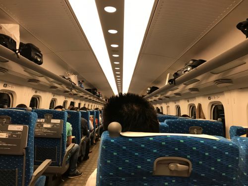 旅の羅針盤:JR名古屋駅とJR東京駅で購入出来る駅弁47-こだわりのみそ唐揚げ弁当-