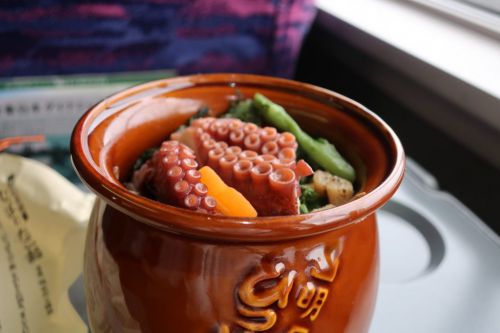 東京駅・駅弁 おすすめランキング2020!【1080円】以下の安い駅弁を全実食