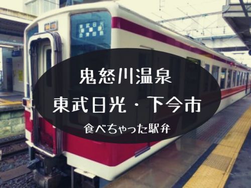 【日光・鬼怒川駅弁まとめ】食べちゃた27個!日光・鬼怒川のお弁当あつめたぞ【2020年更新】