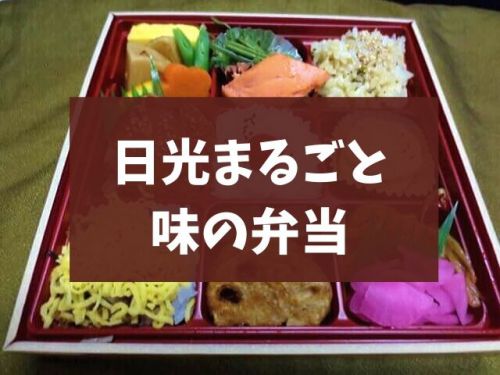 【日光駅弁】特急スペーシアとJR485系特急!アザレア弁当「日光まるごと味の弁当」幕の内弁当だぞ