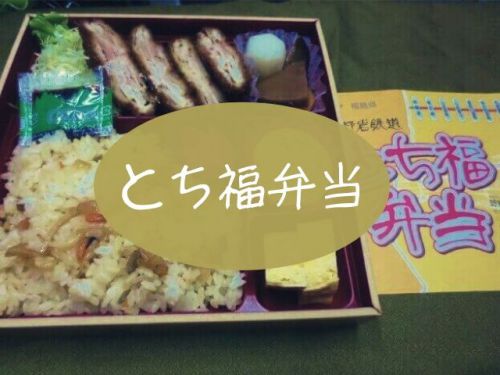 【鬼怒川駅弁】掛紙に野岩鉄道の文字!コダマ「とち福弁当」栃木の味いっぱいのとんかつ弁当だ