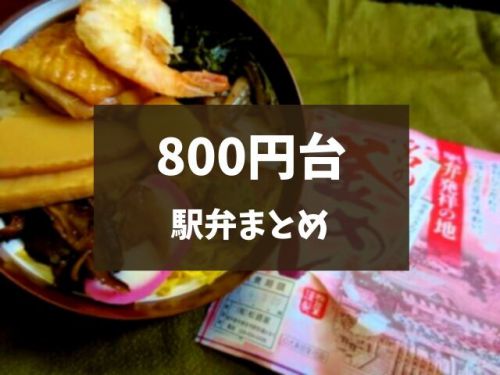 【駅弁まとめ】11個食べちゃた!2020年更新「800円台の駅弁」集めてみました