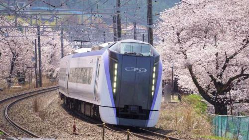 小淵沢駅「信州牛と筍ごはん」(1200円)~季節限定駅弁と一緒に、この春は鉄道旅!