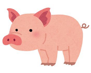 彼女「三元豚のトンカツだって!美味しそうだね」ワイ「日本で飼育されてる豚の7割は三元豚ですよ」