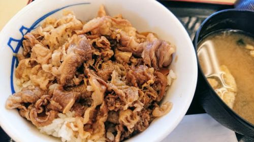【何が駄目?】松屋「お願い!もっと牛めし食いに来て!」