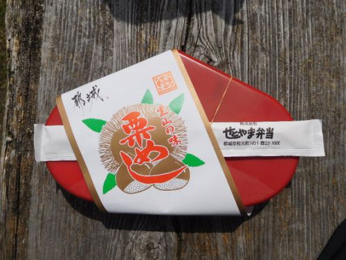 西都城駅 せとやま弁当 栗めし